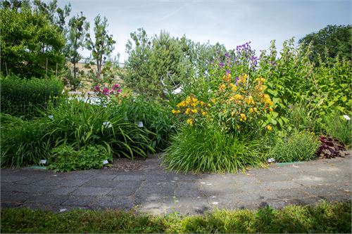 Botanischer Garten Salzburg