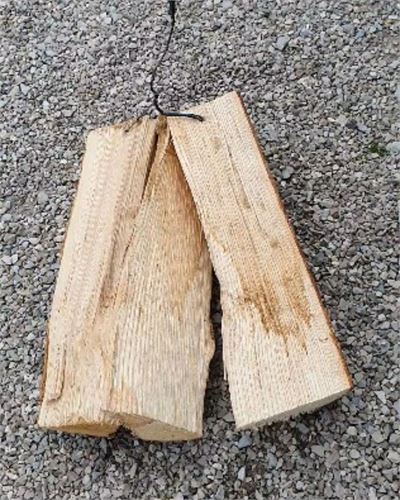 Scheitelweihe St. Jakob