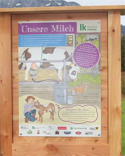 Schautafeln Salzburger Landwirtschaft - Unsere Milch
