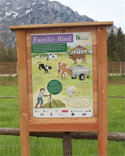 Schautafeln Salzburger Landwirtschaft - Familie Rind