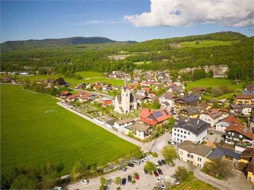 Puch bei Salzburg - Vogelperspektive