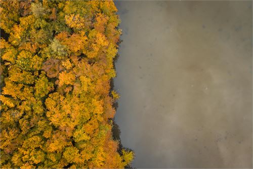 Weiher St. Jakob im Herbst