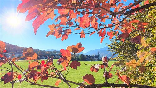 Herbstblick Puch Panorama