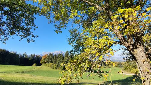 Herbstblick Hochstadl
