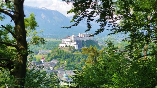 Asublick vom Kapuzinerberg