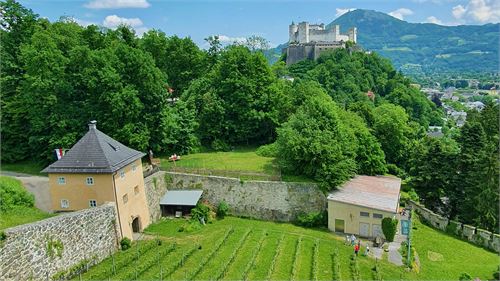 Weinbaumuseum am Mönchsberg mit Festungsblick