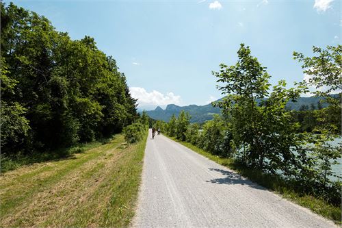 Rad- und Wanderweg in Puch Urstein an der Salzach