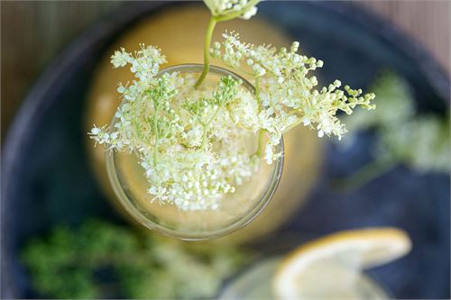 Sommerlimonade mit Mädelsüß