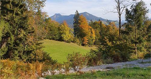 Ausblick von der Hubertuskapelle auf der Schönalm