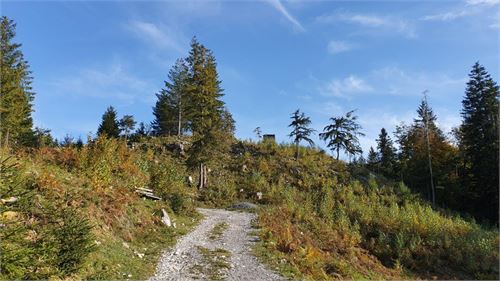 Wanderung zur Hubertuskapelle auf der Schönalm