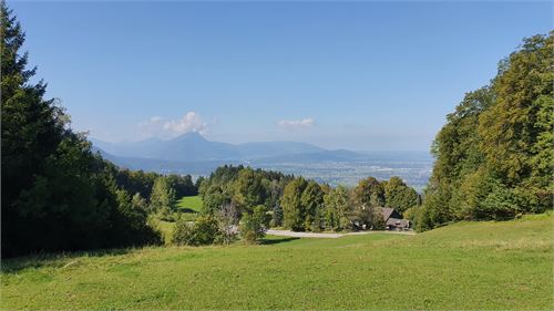 Ausblick auf die Erentrudisalm in Elsbethen