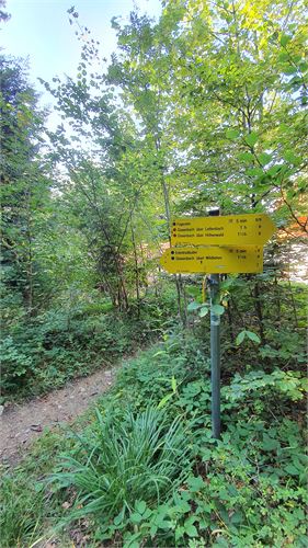 Wanderweg von der Fageralm zur Erentrudisalm