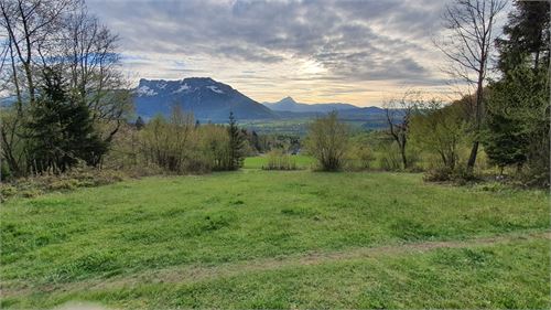 Wanderweg von Stein an der Wand nach Hochstadl