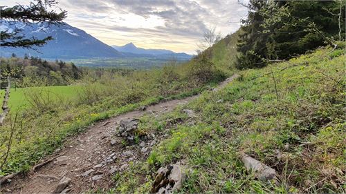 Wanderweg von Stein an der Wand nach Hochstadl