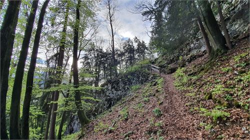 Wanderweg von Stein an der Wand nach Hochstadl