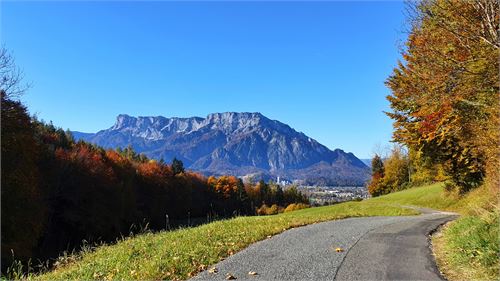 Untersbergblick in Puch