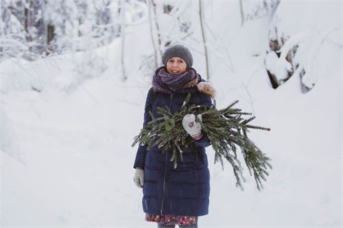 Silja Parke  im Winterwald - Wildemöhre.at