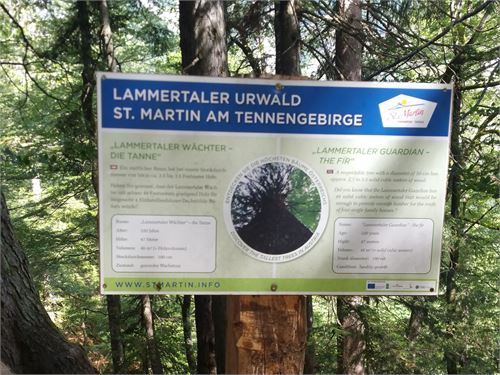 Lammertaler Wächter 