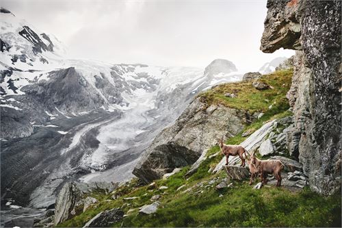 Großglockner | ©Salzburgerland Tourismus - Michael Könighofer