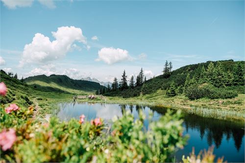 Großarl Almenweg | ©SalzburgerLand Tourismus - Chris Perkles