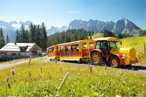 Brunos Bergwelt in Russbach am Pass Gschütt | ©Tennengau.com