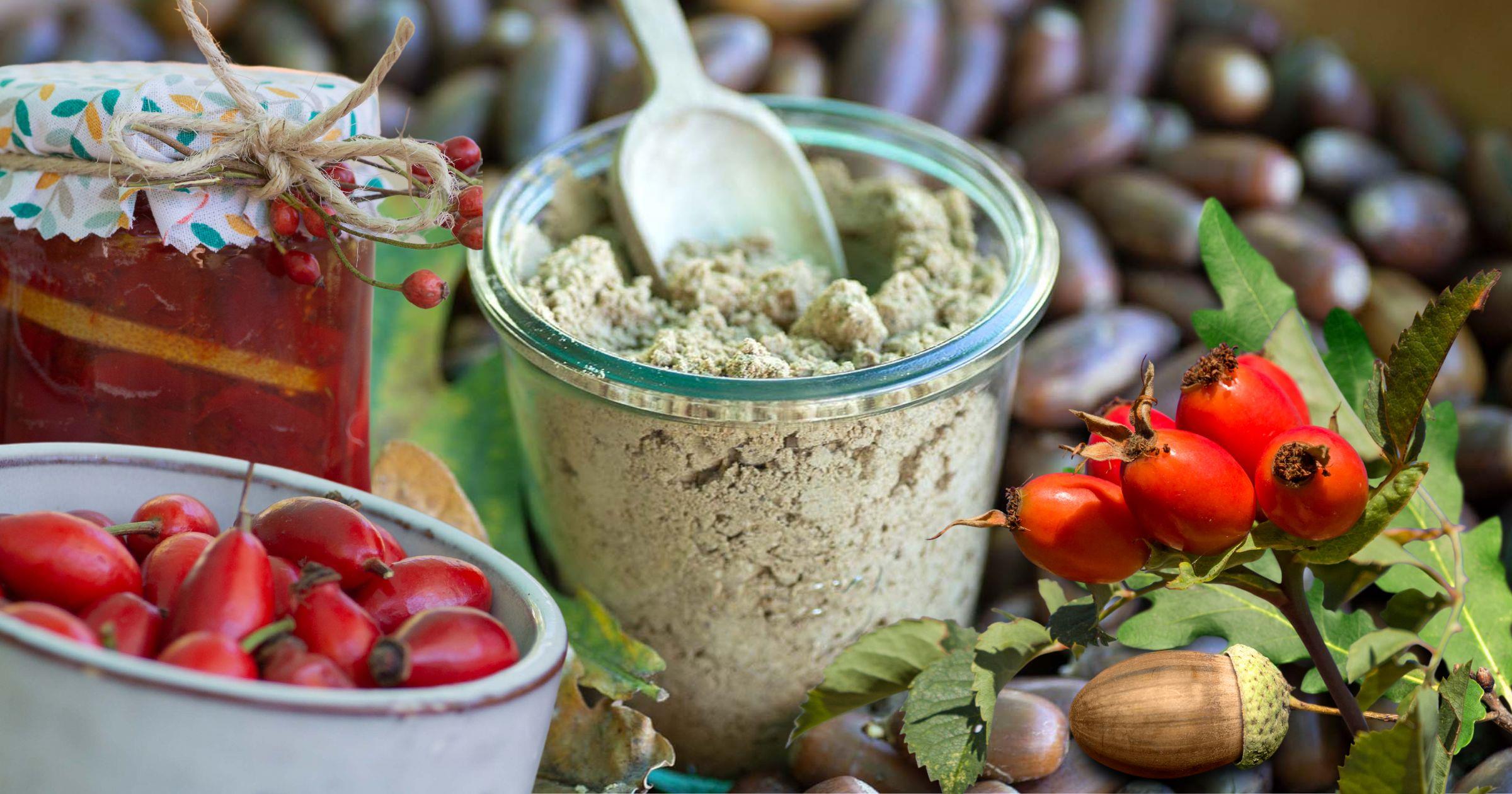 🇦🇹 Rezepte: Eichelmehl-Plätzchen und Hagebutten-Slatko » Puch Magazin 🇦🇹 Rezepte: Eichelmehl-Plätzchen und Hagebutten-Slatko » Puch Magazin